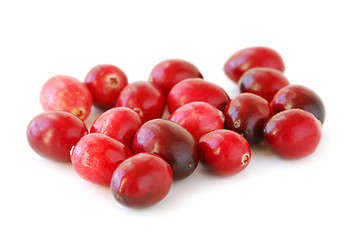 Image showing Cranberries macro