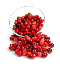 Image showing Cranberries in a bowl