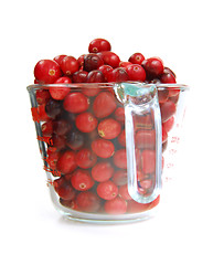 Image showing Cranberries in a cup