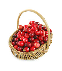 Image showing Cranberries in a basket