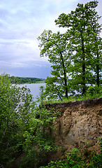 Image showing Trees on the edge of the cliff