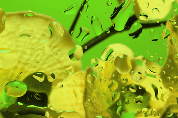 Image showing color abstract background with water drops