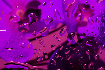 Image showing color abstract background with water drops