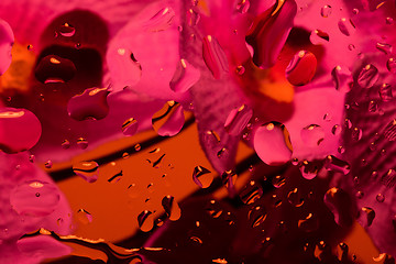 Image showing color abstract background with water drops