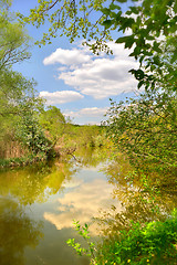 Image showing Spring landscape with the river