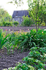 Image showing Cottage garden