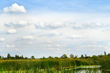 Image showing Summer landscape with a river