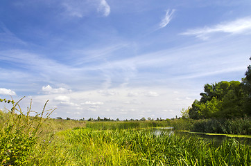 Image showing Summer landscape with a river