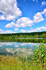 Image showing Summer landscape with a river