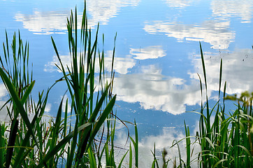 Image showing Summer landscape with a river