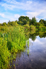 Image showing Summer landscape with a river