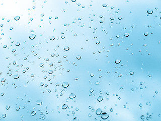 Image showing Rain droplets