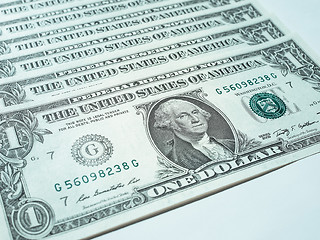 Image showing Dollar notes 1 Dollar