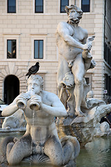 Image showing sculpture Marble Triton, Fontana del Moro in Piazza Navona