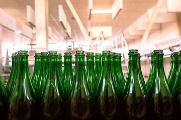 Image showing Many bottles on conveyor belt