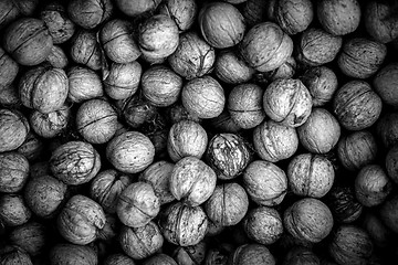 Image showing Nuts background texture