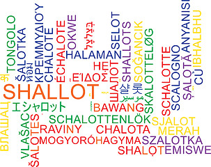 Image showing Shallot multilanguage wordcloud background concept