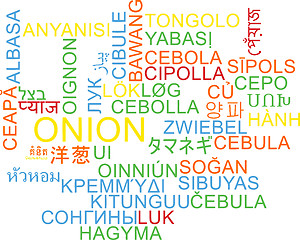 Image showing Onion multilanguage wordcloud background concept