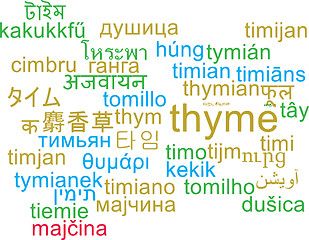 Image showing Thyme multilanguage wordcloud background concept