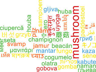 Image showing Mushroom multilanguage wordcloud background concept