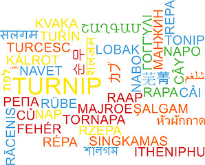 Image showing Turnip multilanguage wordcloud background concept