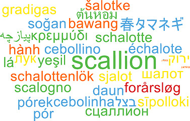 Image showing Scallion multilanguage wordcloud background concept