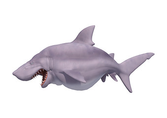 Image showing White Shark