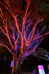 Image showing Tree of Light at Vivid Sydney 