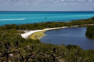 Image showing motorboat  in isla contoy lagoon