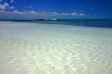 Image showing mexico lagoon\'s isla contoy and  motor-boat