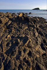 Image showing carpet of stone in a beach in nosy be  madagascar