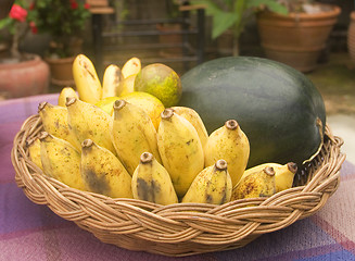 Image showing Basket with fruit