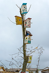 Image showing Starling-houses