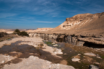 Image showing Water spring in a desert