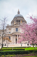 Image showing Saint Paul\'s cathedral in London