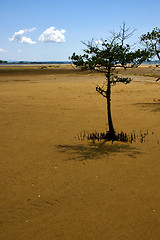 Image showing madagascar coastline