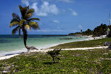 Image showing cabin boats and palm in the sian kaan blue lagoon