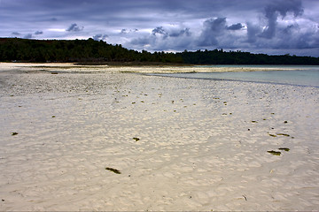 Image showing beach and sand 