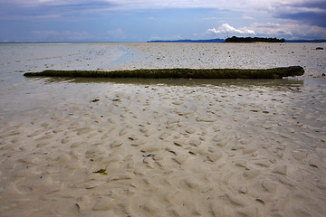 Image showing wood in the beach