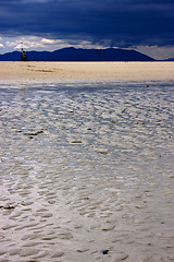 Image showing parasol in the beach