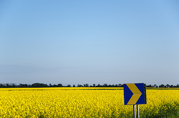 Image showing Arrow at yellow field