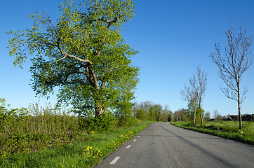 Image showing Beautiful country road