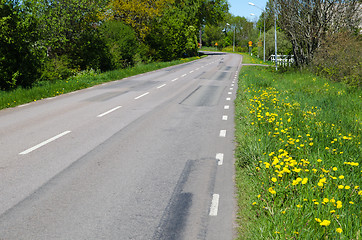 Image showing Blossom roadside