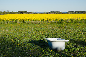 Image showing Bathtub as a water tank