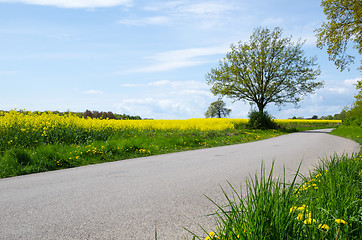 Image showing Green and yellow road