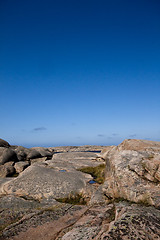 Image showing rocky beach