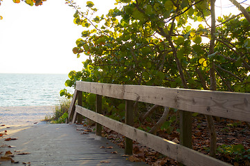 Image showing raised boardwalk leading to beach