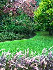 Image showing Beautiful colorful garden with green lawn