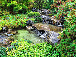 Image showing Japanese garden in early autumn