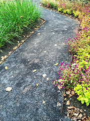 Image showing Path in a colorful autumn garden